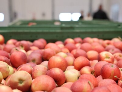 Regionalni distribucijski centar Regionalni distribucijski centar