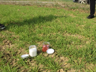 Reja Agro