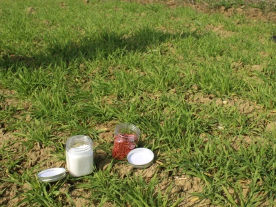 Reja Agro