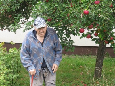 Rekordan urod jabuka