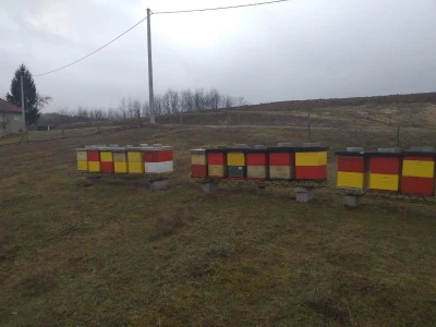 Remzija i Haseda Ramić: Nadamo se da će i naša djeca nastaviti porodičnu tradiciju