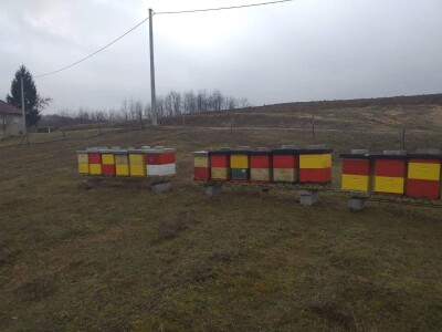 Remzija i Haseda Ramić: Nadamo se da će i naša djeca nastaviti porodičnu tradiciju