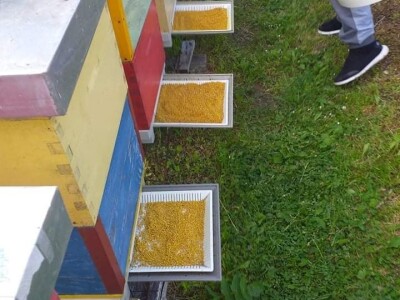 Remzija i Haseda Ramić: Nadamo se da će i naša djeca nastaviti porodičnu tradiciju