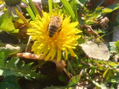 Remzija i Haseda Ramić: Nadamo se da će i naša djeca nastaviti porodičnu tradiciju