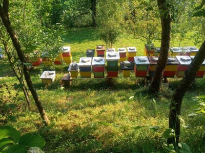 Remzija i Haseda Ramić: Nadamo se da će i naša djeca nastaviti porodičnu tradiciju