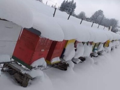 Remzija i Haseda Ramić: Nadamo se da će i naša djeca nastaviti porodičnu tradiciju