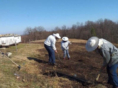 Remzija i Haseda Ramić: Nadamo se da će i naša djeca nastaviti porodičnu tradiciju