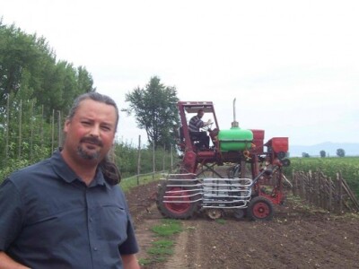 Uzgoj jabuka u Mađarskoj Uzgoj jabuka u Mađarskoj
