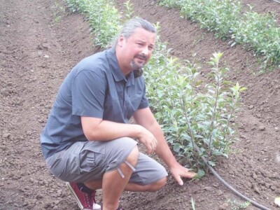 Uzgoj jabuka u Mađarskoj Uzgoj jabuka u Mađarskoj