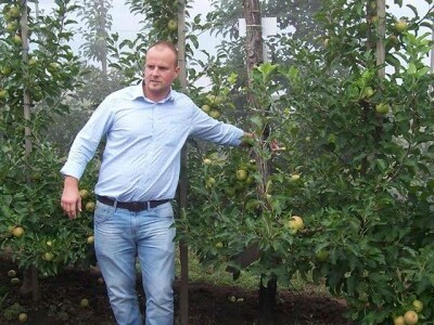 Uzgoj jabuka u Mađarskoj Uzgoj jabuka u Mađarskoj