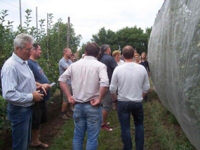 Uzgoj jabuka u Mađarskoj Uzgoj jabuka u Mađarskoj