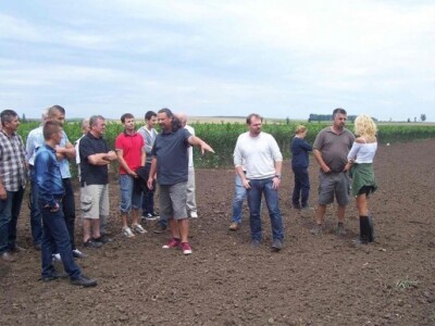 Uzgoj jabuka u Mađarskoj Uzgoj jabuka u Mađarskoj