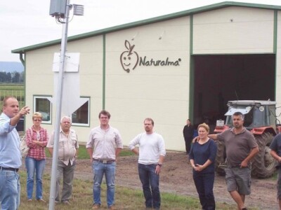 Uzgoj jabuka u Mađarskoj Uzgoj jabuka u Mađarskoj