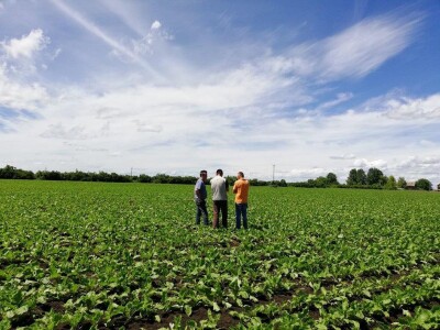 KWS iskustva proizvođača CONVISO®SMART sistemom