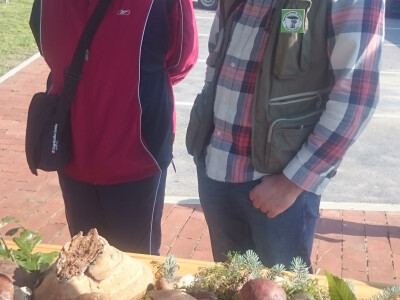 Ove jeseni obilje gljiva