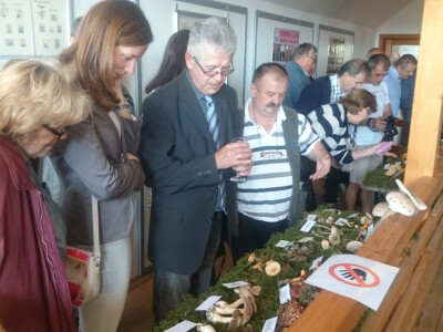 Izloženo oko 200 različitih vrsta gljiva