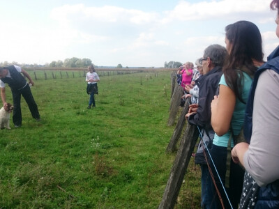 Ljubitelji gljiva sa zanimanjem promatrali rad psa tragača