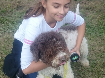 Gljive i ljekovito bilje