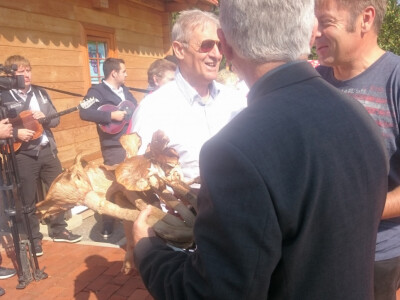 Gljive i ljekovito bilje