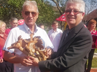 Neobična velika gljiva