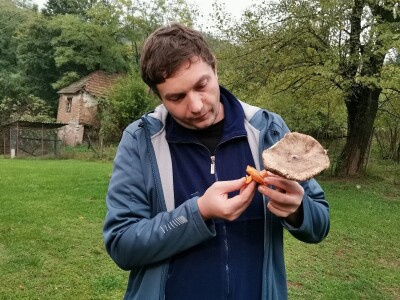 Retke gljive rastu i u okolini Ćuprije