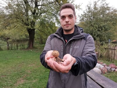 Retke gljive rastu i u okolini Ćuprije