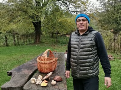 Retke gljive rastu i u okolini Ćuprije