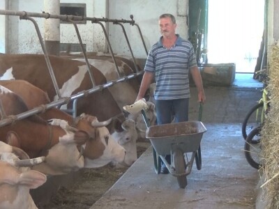 Retkost da rava oteli tri teleta