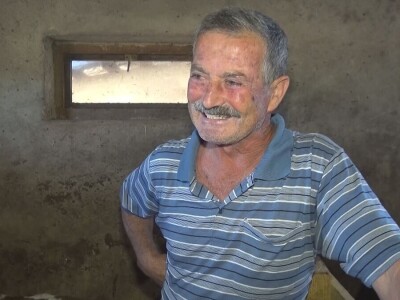 Retkost da rava oteli tri teleta