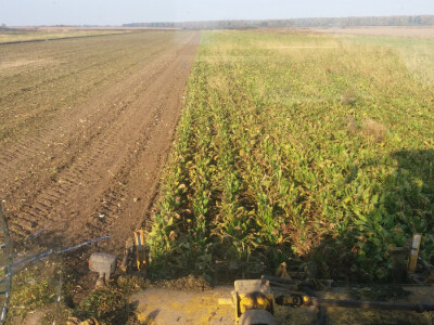 Vađenje šećerne repe Vađenje šećerne repe