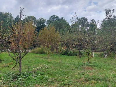 Retrovegetacija voća