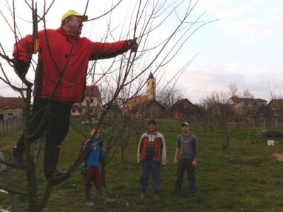 Voćari hobisti ne moraju žuriti s rezidbom