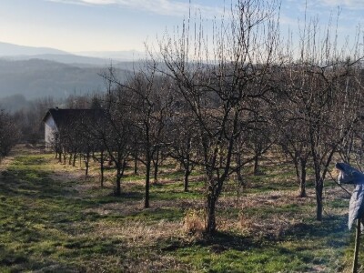 Rezidba voća Rezidba voća