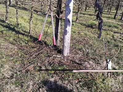 Rezidba voća Rezidba voća