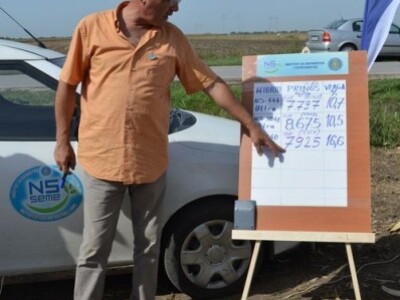 Rezultati ogleda na njivi Stevana Grubačkog