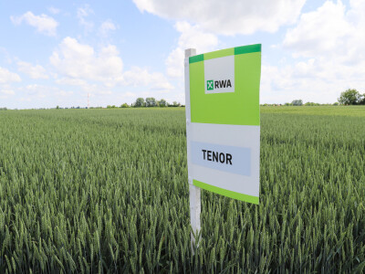 Rezultati RWA pokusa u Račinovcima