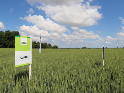 Rezultati RWA pokusa u Račinovcima