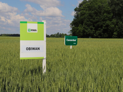 Rezultati RWA pokusa u Račinovcima