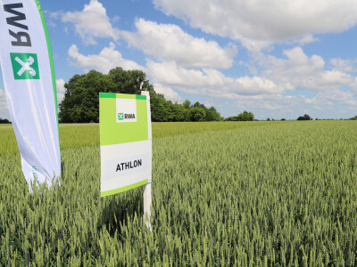 Rezultati RWA pokusa u Račinovcima