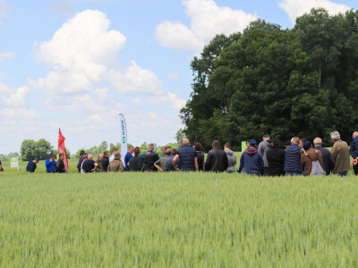 Rezultati RWA pokusa u Račinovcima