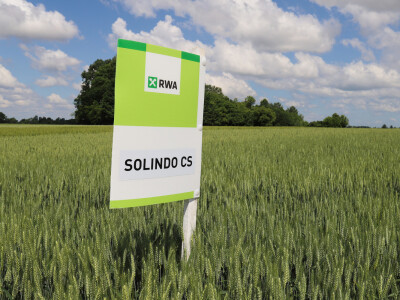 Rezultati RWA pokusa u Račinovcima