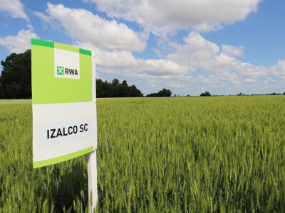 Rezultati RWA pokusa u Račinovcima