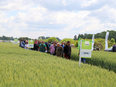 Rezultati RWA pokusa u Račinovcima