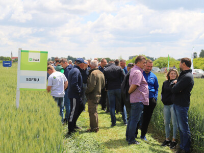 Rezultati RWA pokusa u Račinovcima