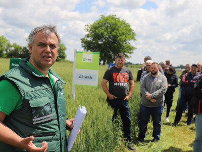 Rezultati RWA pokusa u Račinovcima