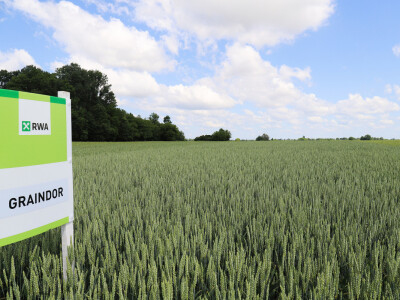 Rezultati RWA pokusa u Račinovcima