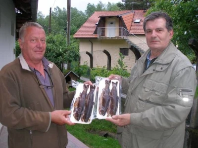 Toplodimljena riba