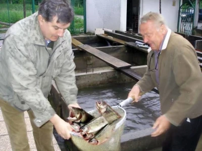 Vrhunska pastrva Teskeredžić i Malenica