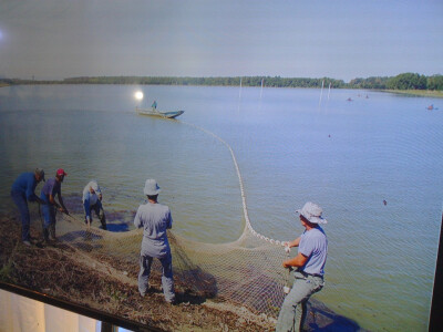 Pogon za preradu ribe drži u životu i ribnjake, te i radnike u toj proizvodnji