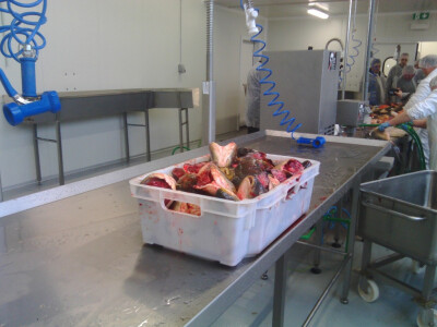 Tvornica ribe u Čačincima